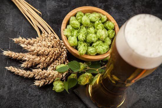 La materia prima principal de la cerveza y su relevancia en su elaboración