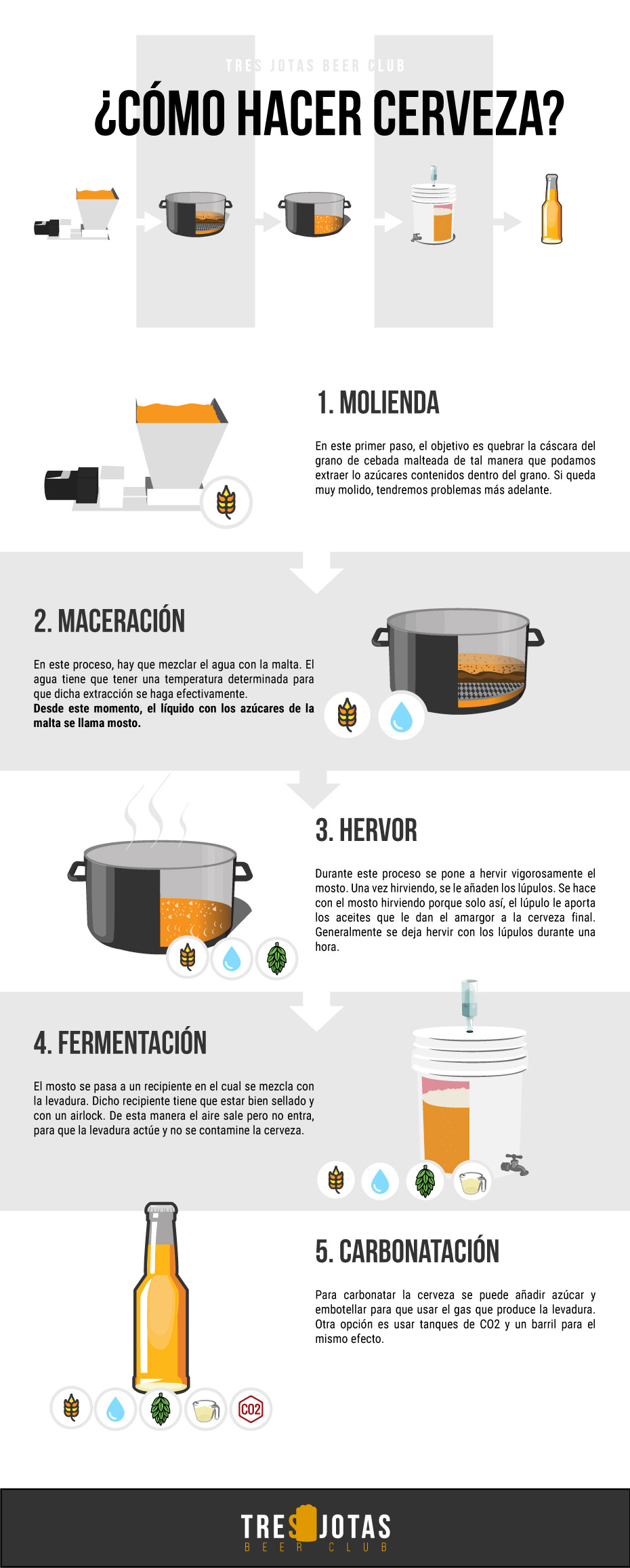 Proceso de elaboración de la cerveza: todo lo que necesitas saber