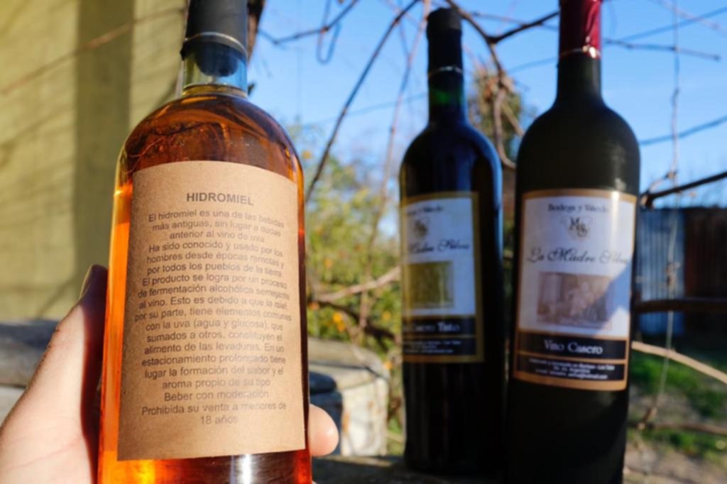 ¿Vino o cerveza?: El duelo ancestral de las bebidas más antiguas